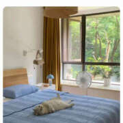 ヒメ日記 2025/07/29 09:36 投稿 まりか 人妻花かんざし