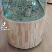 ヒメ日記 2025/08/27 09:38 投稿 まりか 人妻花かんざし