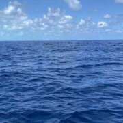 ヒメ日記 2025/09/23 09:36 投稿 まりか 人妻花かんざし