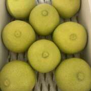 ヒメ日記 2025/10/02 09:39 投稿 まりか 人妻花かんざし