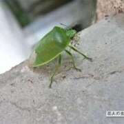 ヒメ日記 2025/10/11 09:38 投稿 まりか 人妻花かんざし