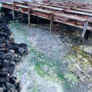 ヒメ日記 2025/10/12 09:44 投稿 まりか 人妻花かんざし