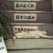 ヒメ日記 2025/10/15 09:36 投稿 まりか 人妻花かんざし