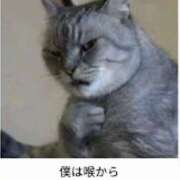 ヒメ日記 2025/10/21 09:36 投稿 まりか 人妻花かんざし