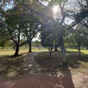 ヒメ日記 2025/11/09 09:41 投稿 まりか 人妻花かんざし