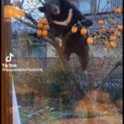 ヒメ日記 2025/11/15 09:40 投稿 まりか 人妻花かんざし