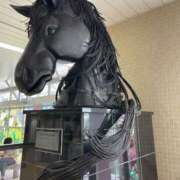 ヒメ日記 2025/11/16 09:41 投稿 まりか 人妻花かんざし