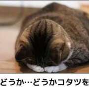 ヒメ日記 2025/11/20 09:38 投稿 まりか 人妻花かんざし