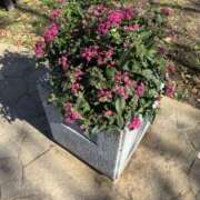 ヒメ日記 2025/11/27 09:34 投稿 まりか 人妻花かんざし