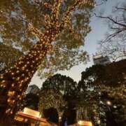 まりか 上野公園クリスマスイベントよ! 人妻花かんざし