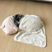 ヒメ日記 2026/01/08 09:37 投稿 まりか 人妻花かんざし