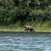 ヒメ日記 2026/01/11 09:41 投稿 まりか 人妻花かんざし