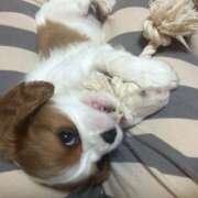 ヒメ日記 2026/01/14 10:17 投稿 まりか 人妻花かんざし