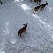 ヒメ日記 2026/02/08 09:42 投稿 まりか 人妻花かんざし