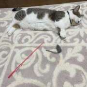 ヒメ日記 2026/02/19 09:39 投稿 まりか 人妻花かんざし