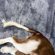 ヒメ日記 2026/03/07 09:43 投稿 まりか 人妻花かんざし