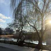 ヒメ日記 2026/03/11 09:38 投稿 まりか 人妻花かんざし