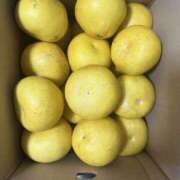 ヒメ日記 2026/03/18 09:37 投稿 まりか 人妻花かんざし