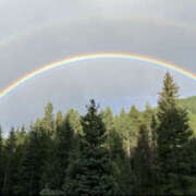 ヒメ日記 2026/03/29 09:37 投稿 まりか 人妻花かんざし