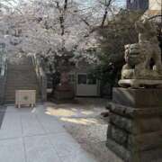 ヒメ日記 2026/03/31 09:41 投稿 まりか 人妻花かんざし