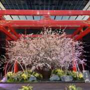 ヒメ日記 2026/04/12 09:38 投稿 まりか 人妻花かんざし