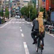 ヒメ日記 2026/04/14 09:55 投稿 まりか 人妻花かんざし