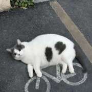 ヒメ日記 2026/09/16 09:36 投稿 まりか 人妻花かんざし