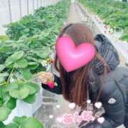 ヒメ日記 2025/01/15 13:29 投稿 杏奈/あんな ANEJE～アネージュ池袋～(ユメオト)