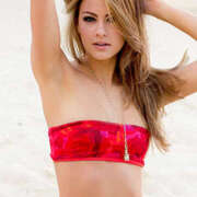 ヒメ日記 2025/01/20 00:48 投稿 コイラート ブルームーン青い月