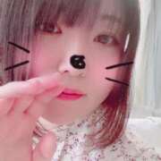 ヒメ日記 2025/01/18 13:03 投稿 さく 白いぽっちゃりさん