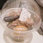 ヒメ日記 2025/03/25 12:42 投稿 さく 白いぽっちゃりさん