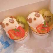 さく お休みのお知らせ🙏 白いぽっちゃりさん