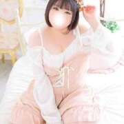 さく 🍀お休みのお知らせ🍀 白いぽっちゃりさん