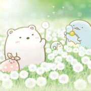 ヒメ日記 2024/12/28 22:29 投稿 かのん ドマーニ