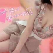 ヒメ日記 2025/02/08 20:49 投稿 かのん ドマーニ