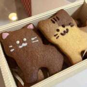 ヒメ日記 2025/02/14 21:02 投稿 かのん ドマーニ