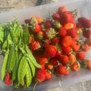 ヒメ日記 2025/05/19 12:02 投稿 かのん ドマーニ