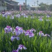 ヒメ日記 2025/06/16 12:00 投稿 かのん ドマーニ