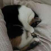 ヒメ日記 2025/07/03 01:41 投稿 かのん ドマーニ