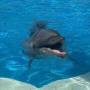 ヒメ日記 2025/10/03 12:01 投稿 かのん ドマーニ