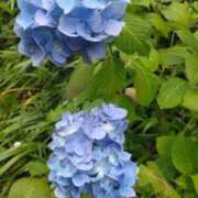 ヒメ日記 2025/06/08 19:42 投稿 ゆずき【FG系列】 アロマdeフィーリングin横浜（FG系列）