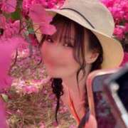 ヒメ日記 2025/04/16 20:28 投稿 みほ 秘書室(吉原)