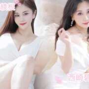 ヒメ日記 2025/12/14 16:19 投稿 滝沢綾根 プレジデントクラブ