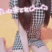 ヒメ日記 2026/02/17 20:48 投稿 【ののか】超絶スタイルの美少女 おねだり宮崎