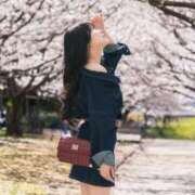 ヒメ日記 2026/03/01 11:58 投稿 【いろは】熊本店の№1娘 おねだり宮崎