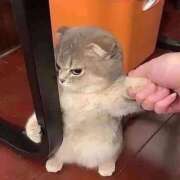 ヒメ日記 2026/01/17 09:34 投稿 【みゆな】エロカワな悪戯っ子 おねだり宮崎