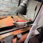 ヒメ日記 2025/10/09 12:28 投稿 【みう】責められたがり美女 おねだり宮崎