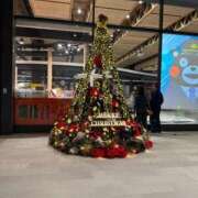 ヒメ日記 2025/12/14 00:38 投稿 【みう】責められたがり美女 おねだり宮崎