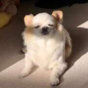 ヒメ日記 2025/11/25 17:59 投稿 ありさ【ハイクオリティ美女♡】 Beppin house