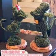 ヒメ日記 2025/01/19 18:15 投稿 あんず 横浜 風俗 妻がオンナに変わるとき